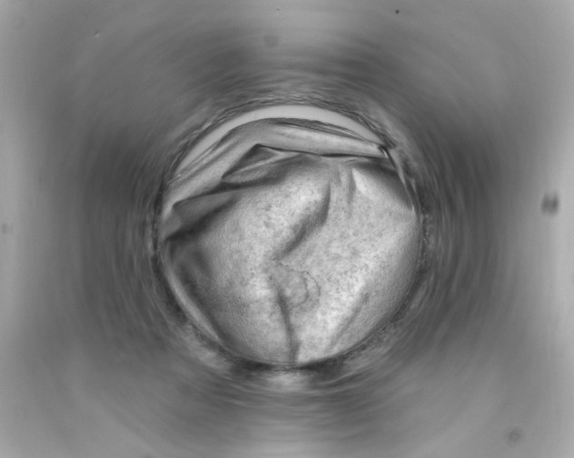 X0000093110313200710241247