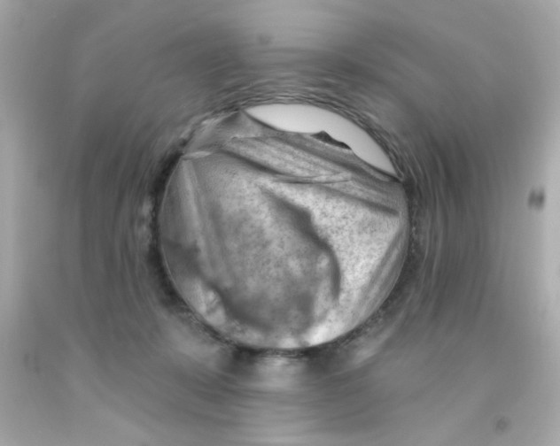 X0000093110319200710241247