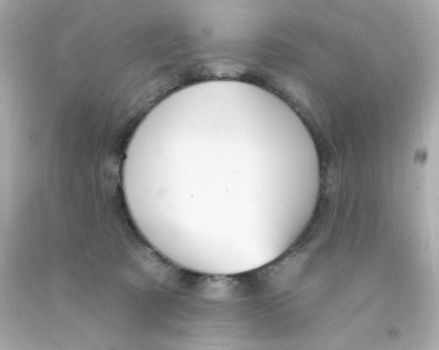 X0000093110321200710241247