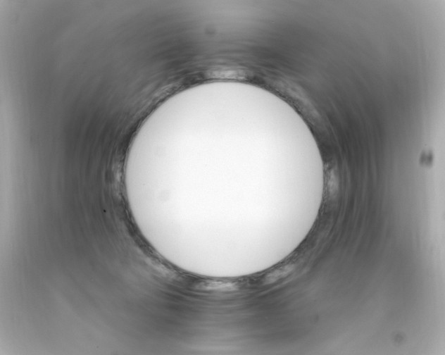 X0000093110322200710241247