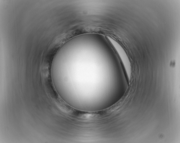 X0000093110323200710241247