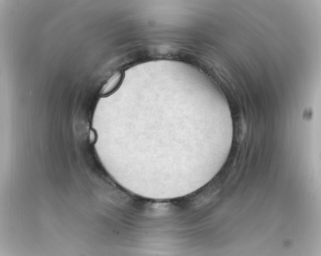 X0000093110324200710241247