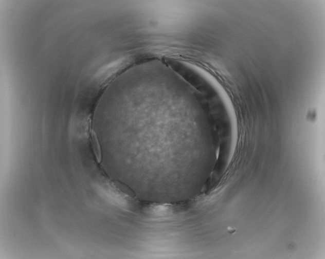 X0000093110325200710241247