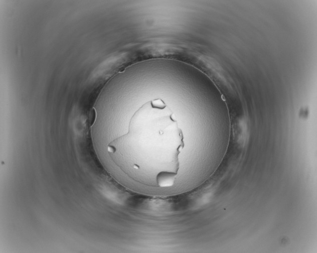 X0000093110327200710241247