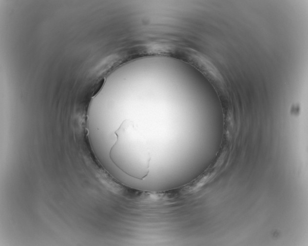 X0000093110329200710241247