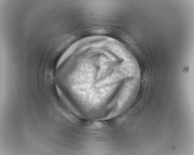 X0000093110330200710241247