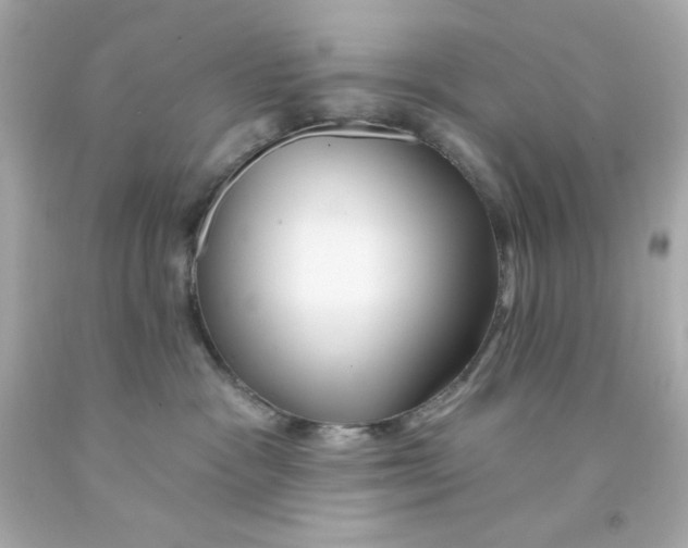 X0000093110333200710241247