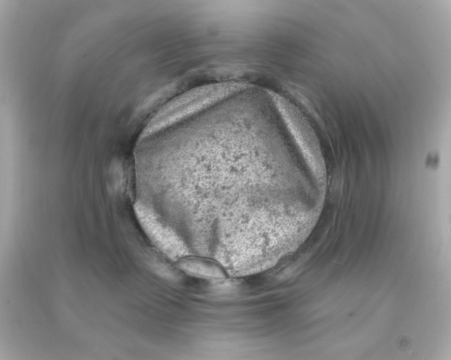 X0000093110335200710241247