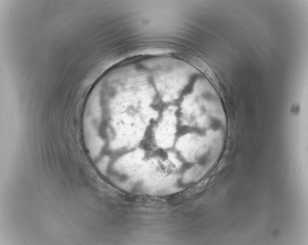 X0000093110337200710241246