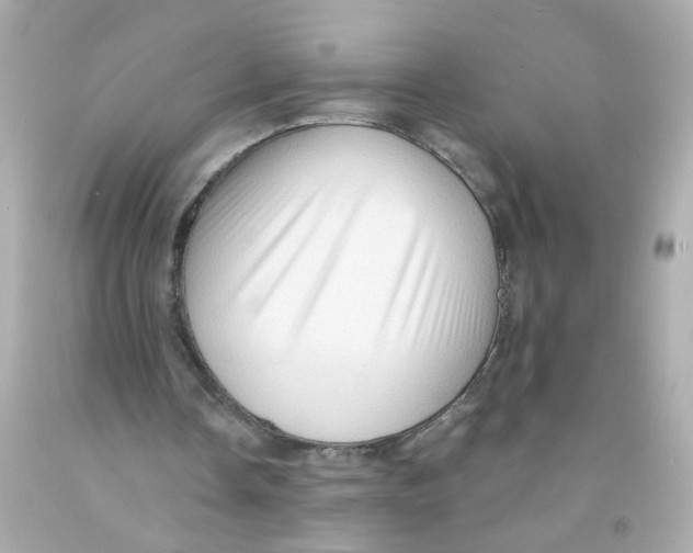 X0000093110338200710241246