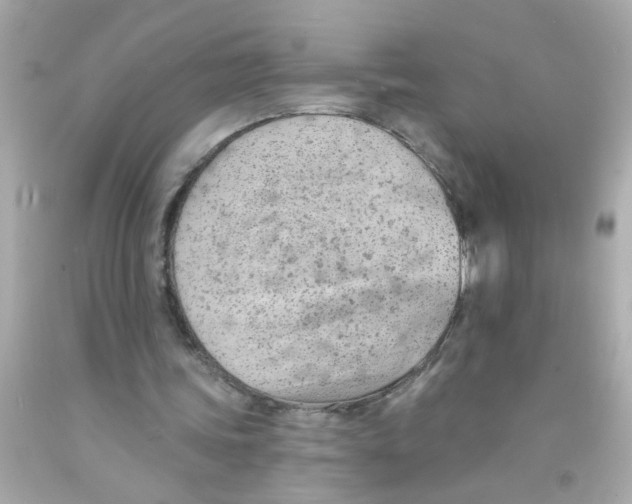 X0000093110339200710241246