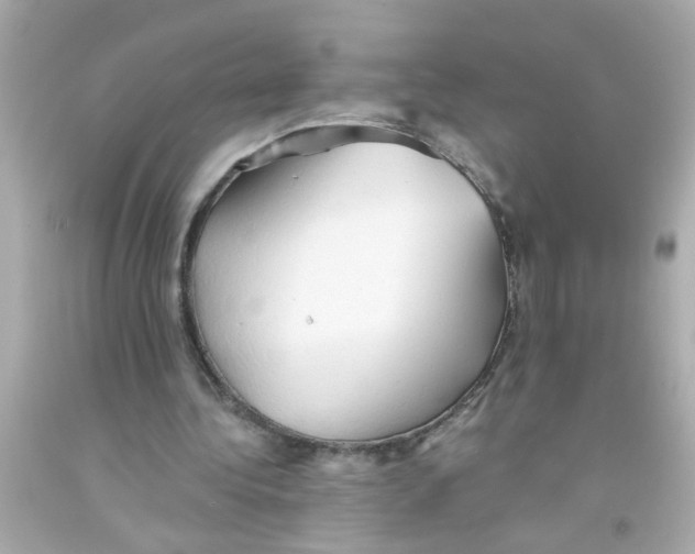 X0000093110340200710241246