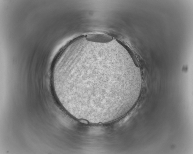 X0000093110342200710241246