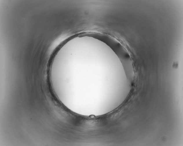 X0000093110344200710241246