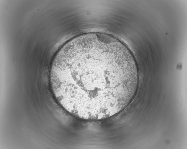 X0000093110345200710241246