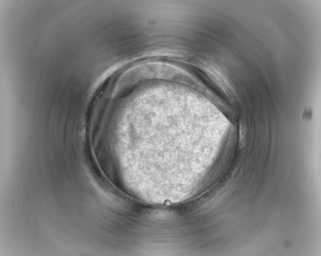 X0000093110348200710241246