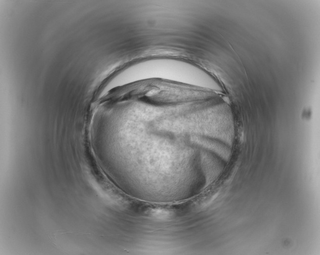 X0000093110352200710241246