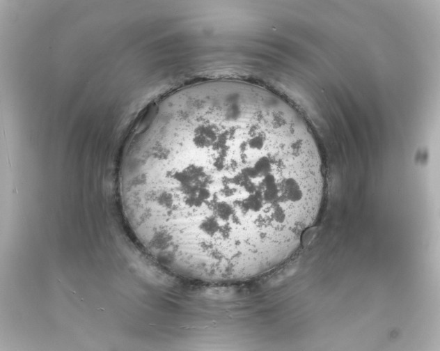 X0000093110353200710241246