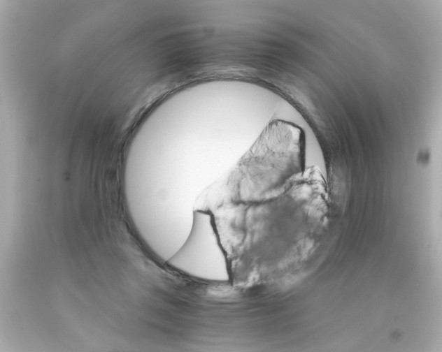 X0000093110357200710241247