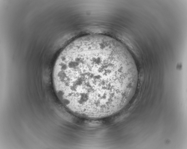 X0000093110359200710241247