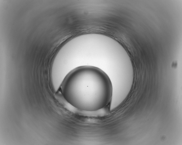 X0000093110360200710241247