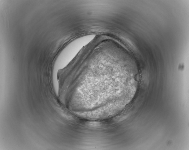 X0000093110361200710241247