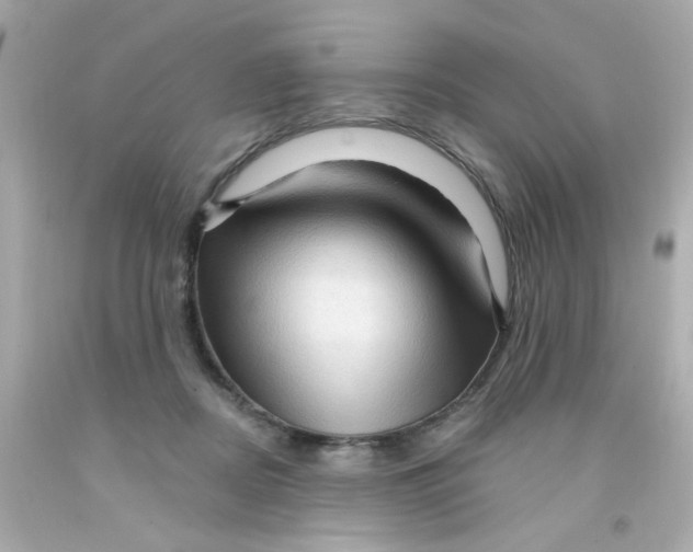 X0000093110362200710241247