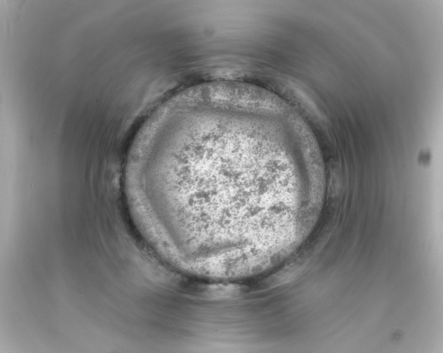 X0000093110363200710241247