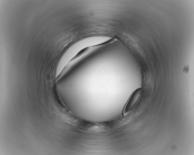 X0000093110364200710241247