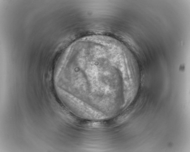 X0000093110365200710241247