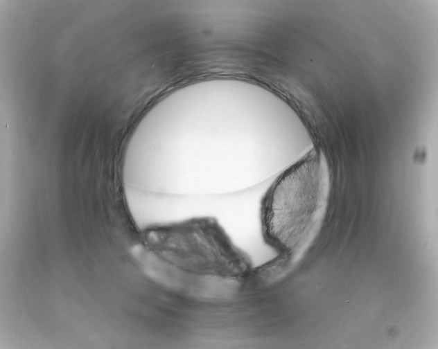 X0000093110369200710241247