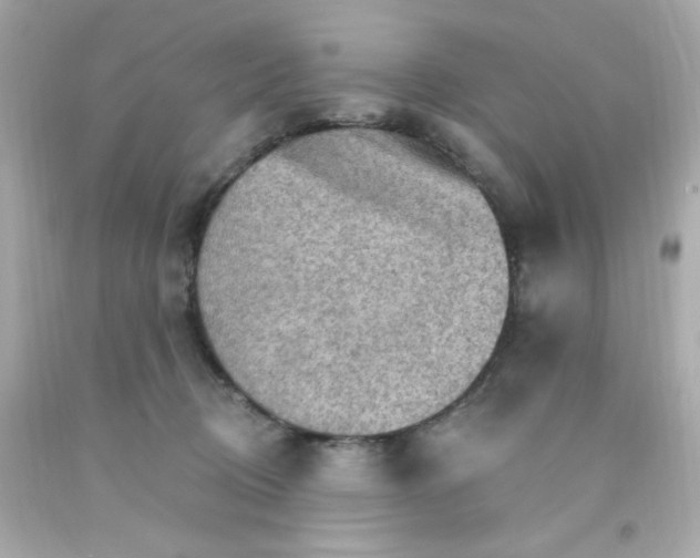 X0000093110370200710241247