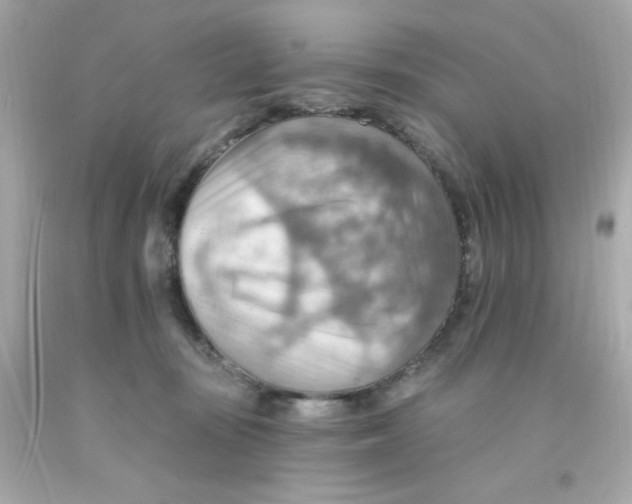 X0000093110371200710241247