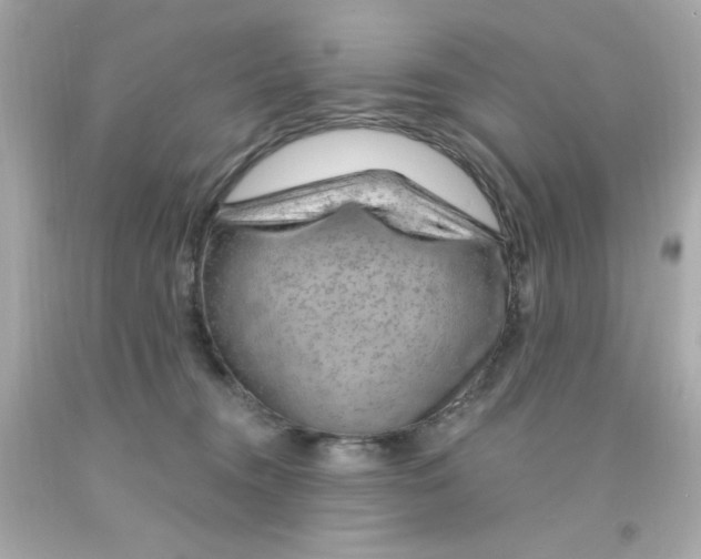 X0000093110372200710241247