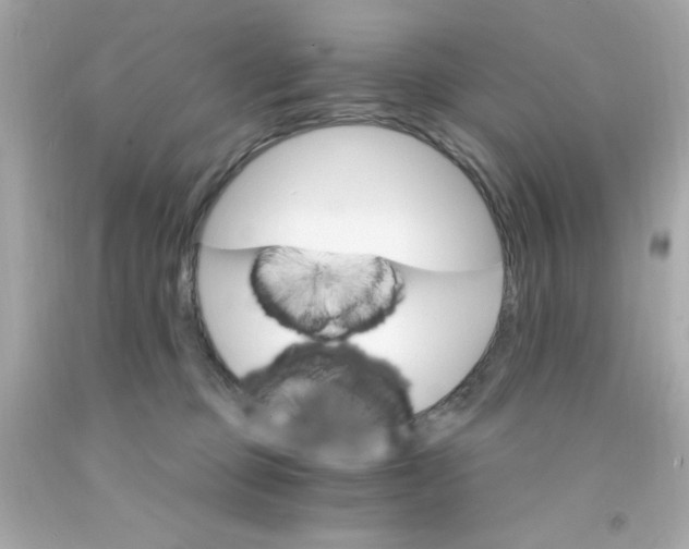 X0000093110373200710241247