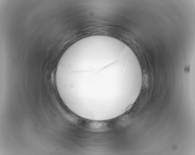 X0000093110375200710241247