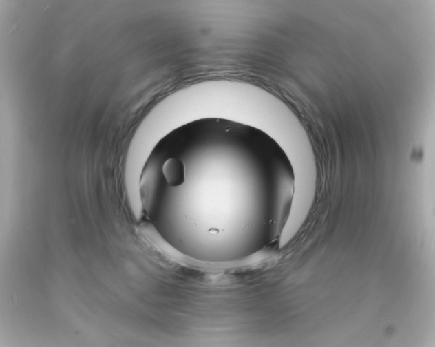 X0000093110376200710241247