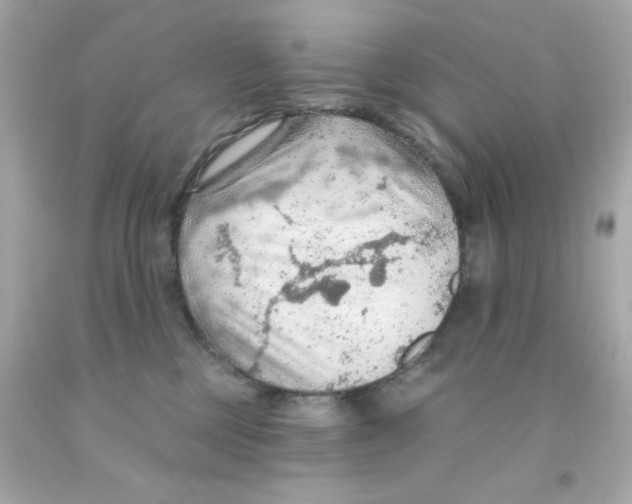 X0000093110377200710241247