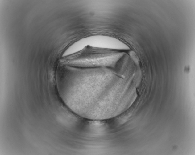 X0000093110380200710241247