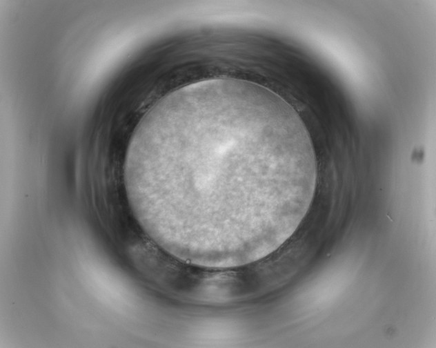 X0000093110382200710241247