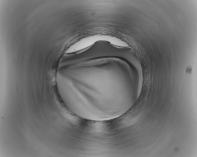 X0000093110383200710241247