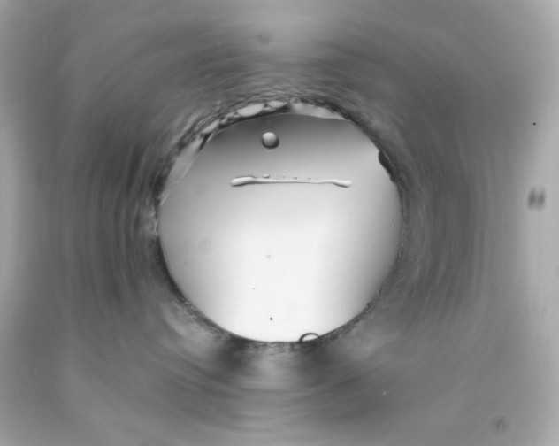 X0000093110384200710241247