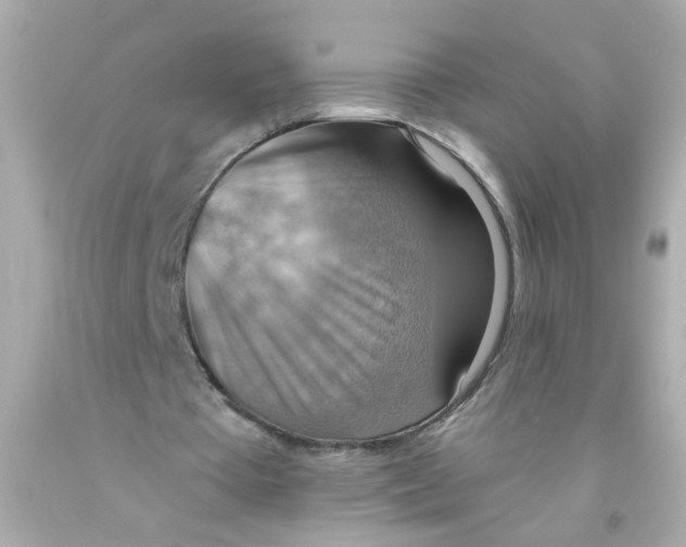 X0000093110385200710241246