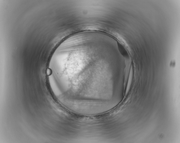 X0000093110386200710241246