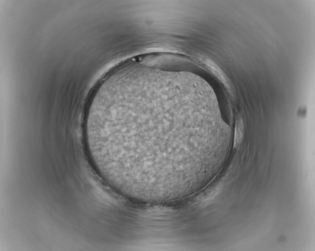 X0000093110387200710241246