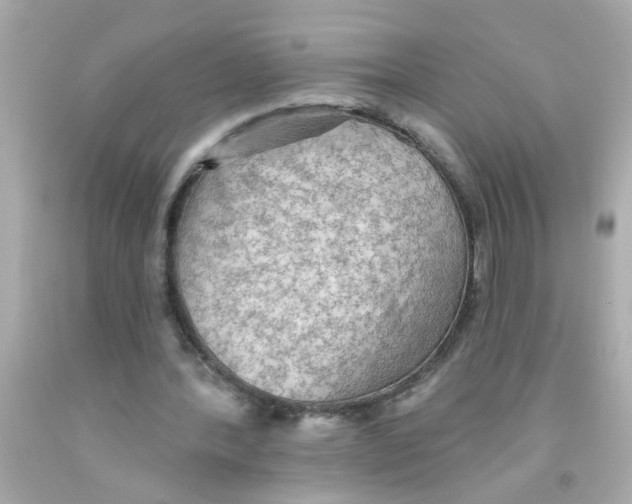 X0000093110388200710241246