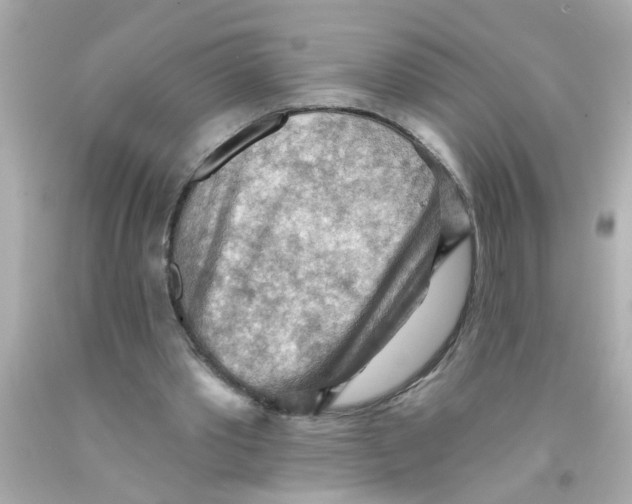 X0000093110389200710241246