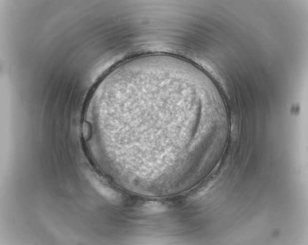 X0000093110390200710241246