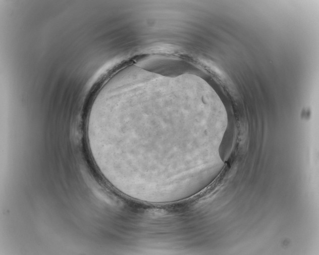 X0000093110392200710241246