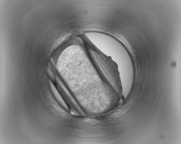 X0000093110393200710241246